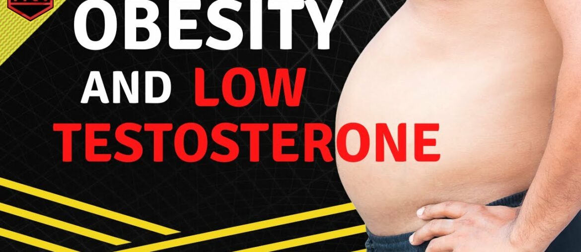 Does Being Fat Lower Testosterone Levels?