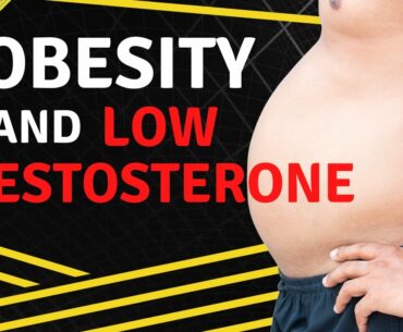Does Being Fat Lower Testosterone Levels?