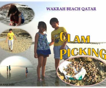 Zef & Zeh's Clam Picking at Al Wakrah Beach, Qatar