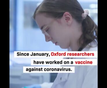 Oxfordu2019s Covid 19 vaccine produces a good immune response, reveals new study  nTeams at @Vaccine