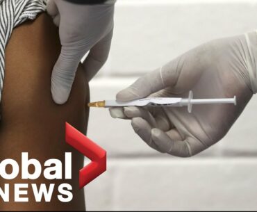 Coronavirus: Vaccine trials showing positive immune responses