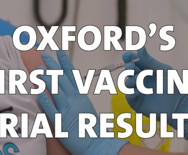 Oxford's scientists explain the Phase I/II results for the COVID-19 vaccine