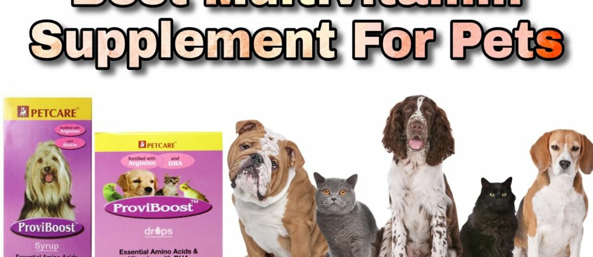 Best Multivitamin Supplement For Pets || Proviboost For Pets || HappyPet