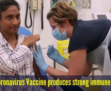 The Lancet study reveals Oxford coronavirus vaccine produces strong immune response