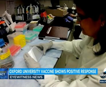 COVID-19 vaccine hopes rise after strong trial results from Oxford, AstraZeneca | ABC7