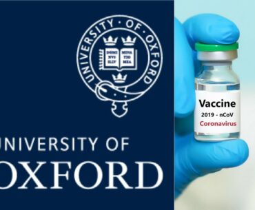 Oxford's Covid-19 Vaccine Appears Safe and Induces Immune Response, Early Results Suggest