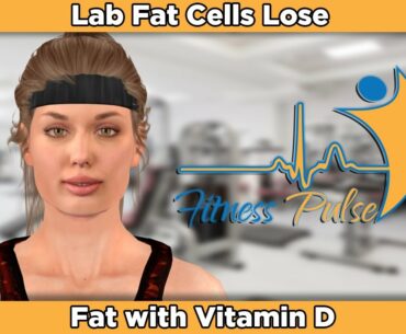 Lab Fat Cells Lose Fat with Vitamin D