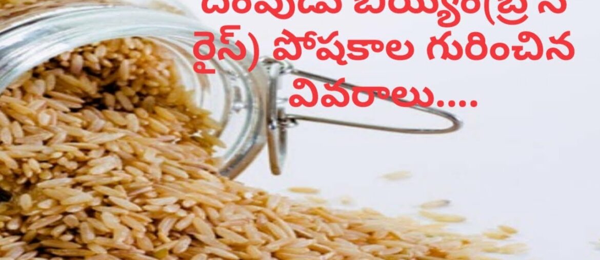 Facts About Brown Rice Nutrition