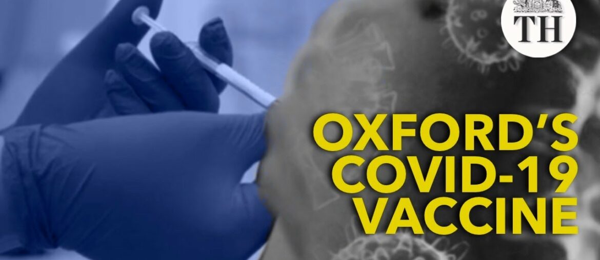 Oxford's COVID-19 vaccine prompts immune response