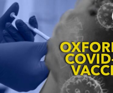Oxford's COVID-19 vaccine prompts immune response
