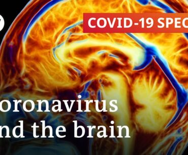 Can the coronavirus cause permanent brain damage? | COVID-19 Special