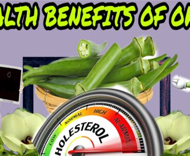 Health Benefits Of Okra