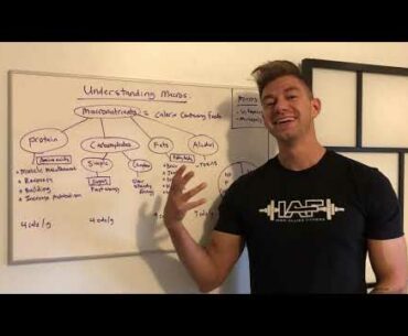 What Are Macros & How Do They Work? - Iron Allies Fitness