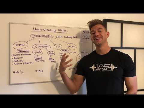 What Are Macros & How Do They Work? - Iron Allies Fitness