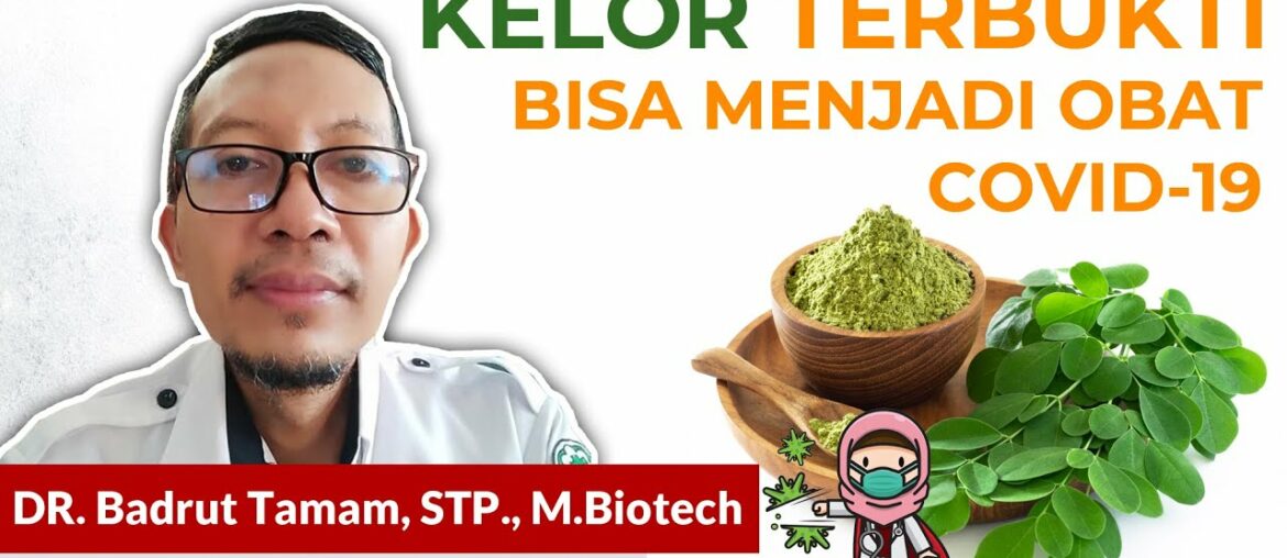 MANFAAT KONSUMSI KELOR UNTUK MENCEGAH / MENGOBATI COVID-19