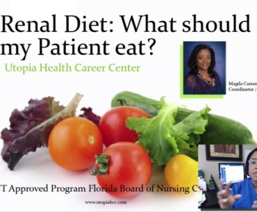 Renal Diet - what can dialysis patients eat [Free Dialysis Video Training]