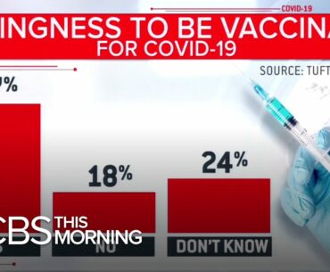 Coronavirus vaccine trial shows promising results but hurdles remain