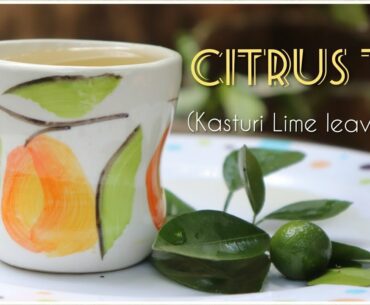 Citrus Tea|kasturi lime leaves Tea|Immunity boosting Tea COVID -19|Benefits of  Calamansi Lime