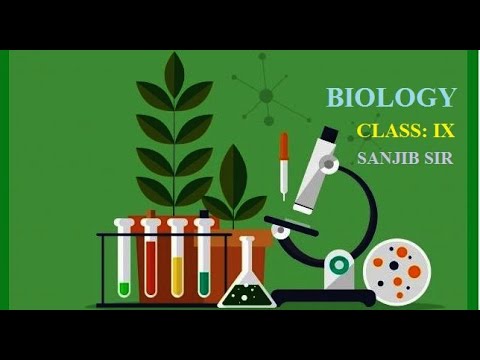 BIOLOGY-IX: CHAPTER-05: VITAMIN & MINERAL DEFICIENCY DISEASES