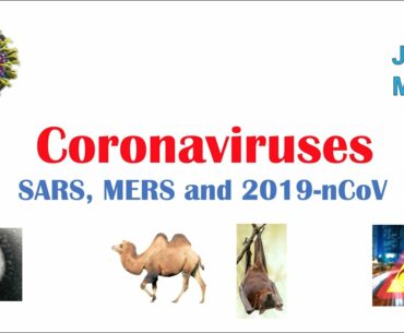 Introduction to Coronaviruses (SARS, MERS, COVID-19): Hosts, Symptoms, History of SARS and MERS