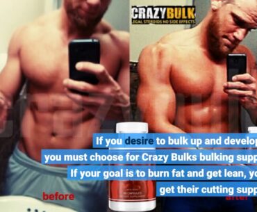 All About Crazy Bulk Supp The Fitness Now Scholarship - provide the