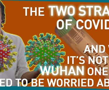 The Two Strains of Covid-19: And Why it's Not the Wuhan One You Need To Be Worried About