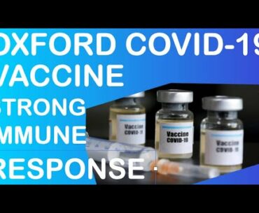 BREAKING NEWS : Oxford Uni coronavirus vaccine triggers strong immune response