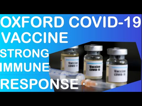 BREAKING NEWS : Oxford Uni coronavirus vaccine triggers strong immune response