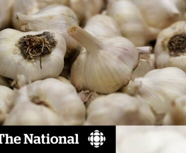 Busting garlic cures and other false coronavirus claims