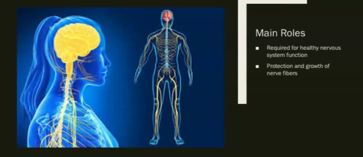 Vitamin B12 Nutrition Presentation 2019