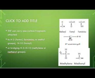 Water Soluble Vitamins Vitamin B9 Lec 8. By (Dr. Mohsina Hamid for 1st Year MBBS)