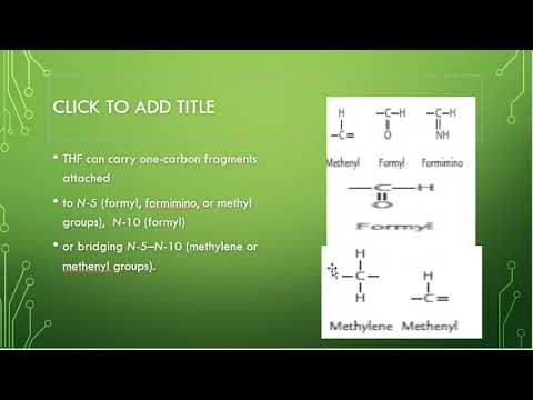 Water Soluble Vitamins Vitamin B9 Lec 8. By (Dr. Mohsina Hamid for 1st Year MBBS)