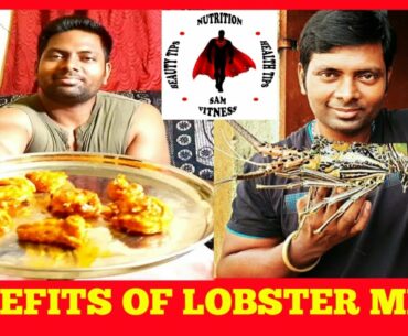 BENEFITS OF LOBSTER (TAMIL) / SAM FITNESS & ENTERTAINMENTS