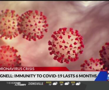 Immunity to COVID-19 lasts 6 months, Swedish doctor says