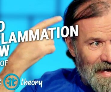 This Trick Makes You Immune To Illness | Wim Hof on Impact Theory