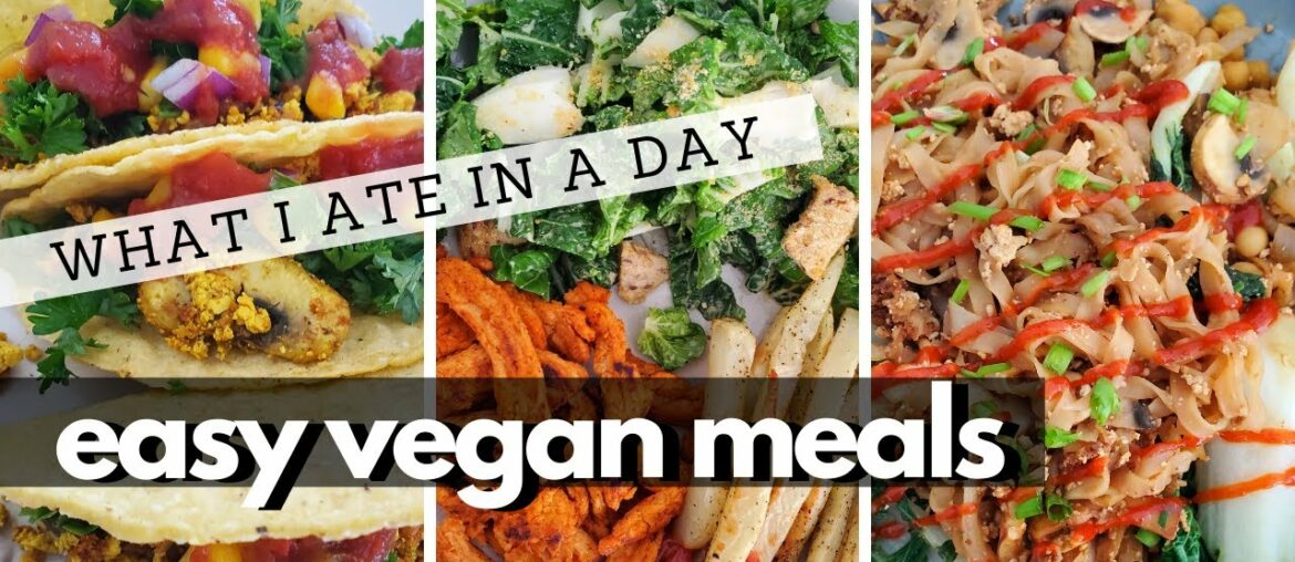 WHAT I ATE IN A DAY (Easy Vegan Meals & Supplement I'm Taking)