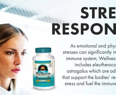 Source Naturals Wellness Formula Bio-Aligned Vitamins & Herbal Defense For Immune System Suppor...