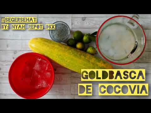 GoldBasCa de CocoVia #segersehat #minumansehat #es #esseger #calamansi