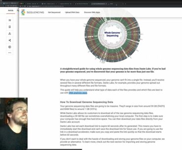 George Hotz | Programming | coronavirus: the follow up visit | part9