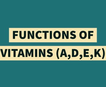 vitamins A,D,E,K functions