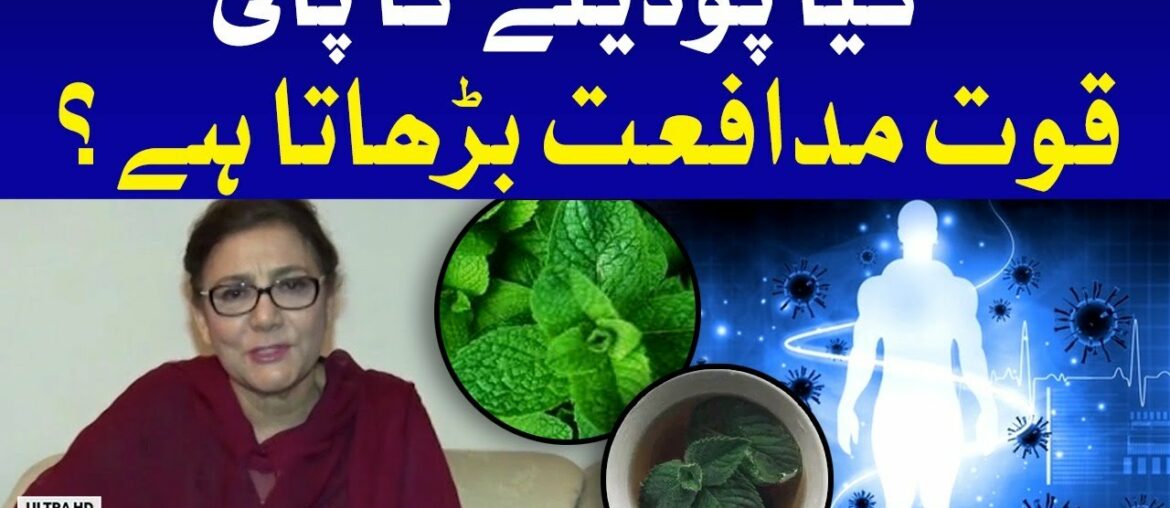 COVID-19: Does Mint Water Boost Immunity? | Expert Opinion by Dr Lubna Baig | Doctor Online