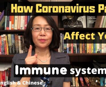 How Coronavirus Panic Affect Your Immune System -  ( Learn Chinese)