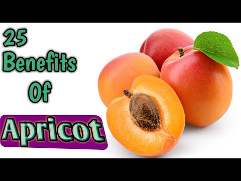 Apricot health benefits in English | Vitamin C | Potassium | Minerals | Protein | Calories | Iron