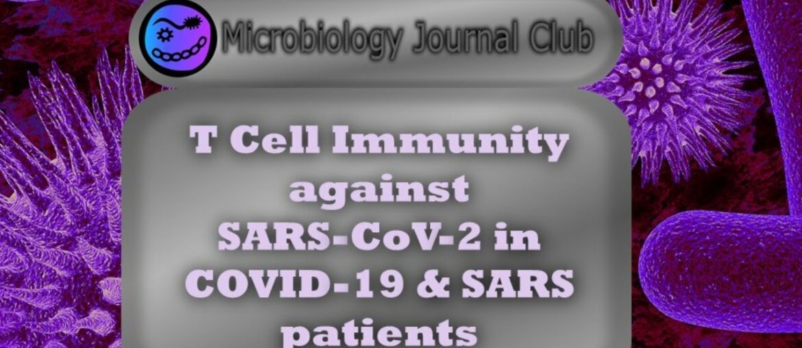 T-Cell Immunity to SARs-CoV 2 in COVID-19 and SARS Patients