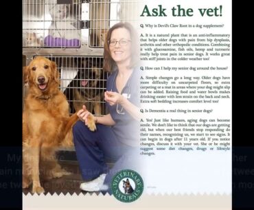 Veterinary Naturals - Hemp & Hips - Senior Large Breed - Hip & Joint Supplement - 60 Soft Chews...