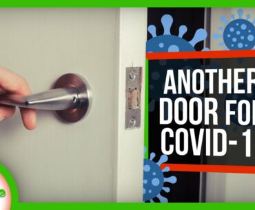 SARS-CoV-2 May Have Another Door Into Cells | SciShow News