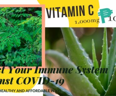 Aloe Vera & Malunggay (Moringa) juice to boost your immune system against Covid-19.