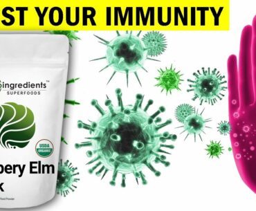 3 Best Slippery Elm Supplement | Boost Your Immune System