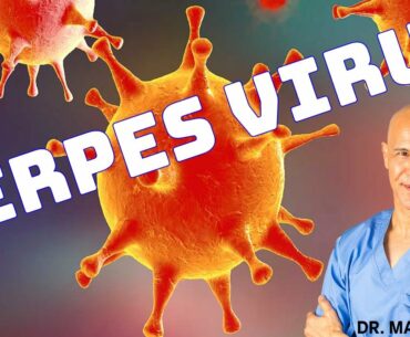 How to Kill Herpes Building Your Immune System - Dr Alan Mandell, DC