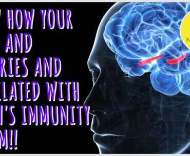 Know how your Mood and Memories are correlated with Your Brain's Immune System!: Nuturemite